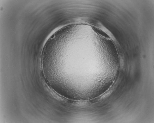 X0000078841052200611201308