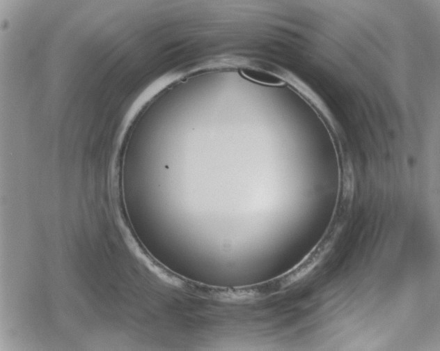 X0000078841053200611201308