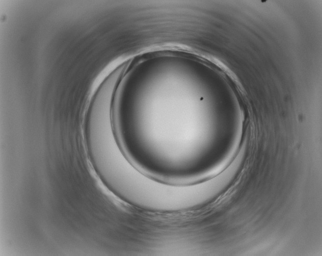 X0000078841054200611201308