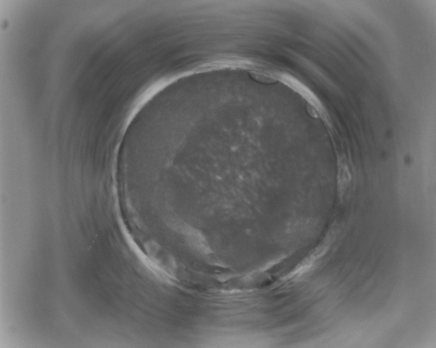 X0000078841055200611201308