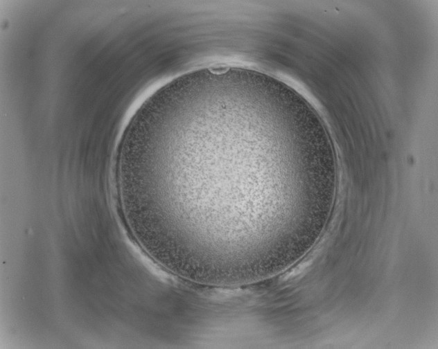 X0000078841056200611201308