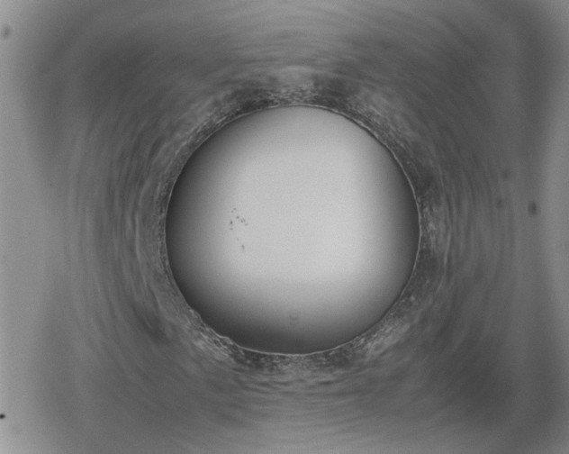 X0000078841057200611201307