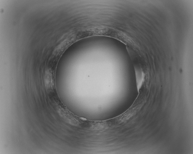 X0000078841058200611201307