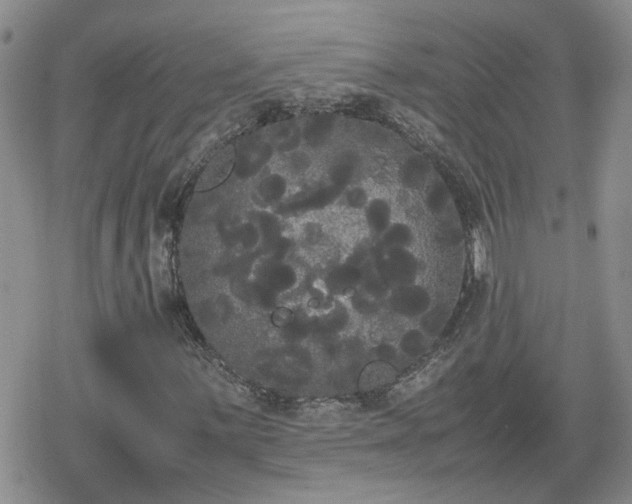 X0000078841059200611201307