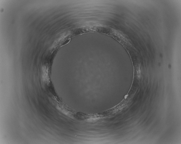 X0000078841060200611201307