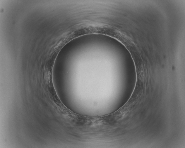 X0000078841061200611201307