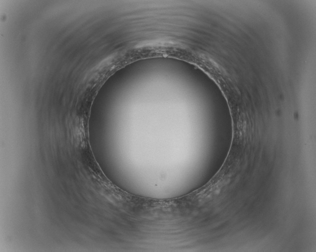 X0000078841062200611201307