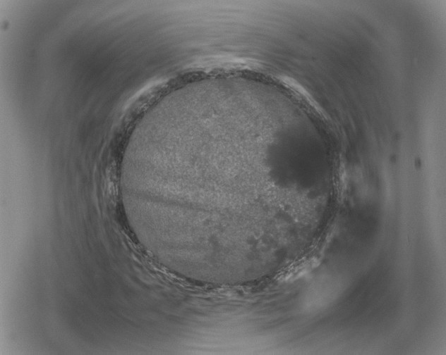 X0000078841063200611201307