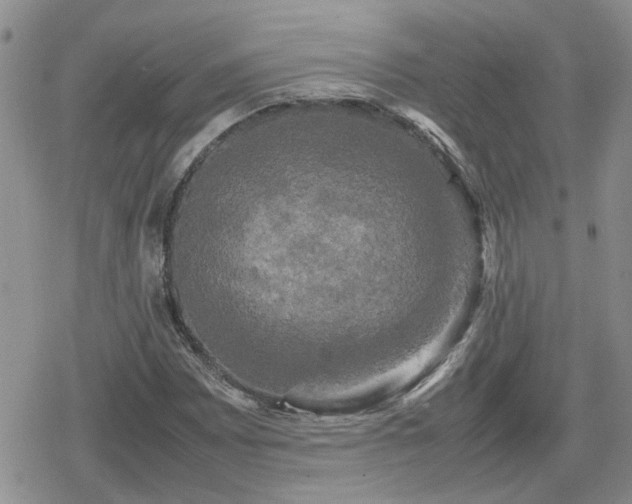 X0000078841065200611201307