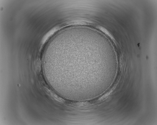 X0000078841067200611201307