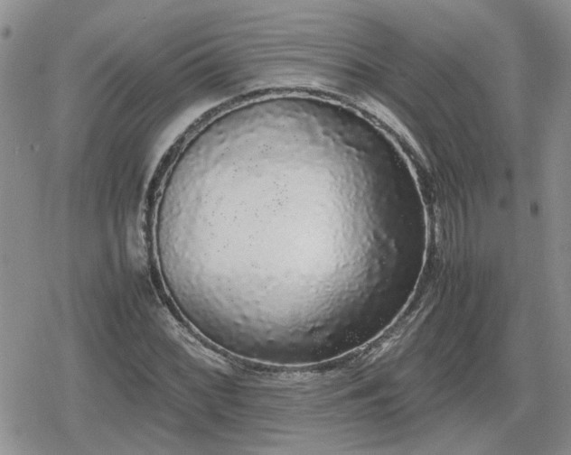 X0000078841068200611201307