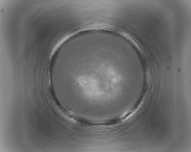 X0000078841069200611201307