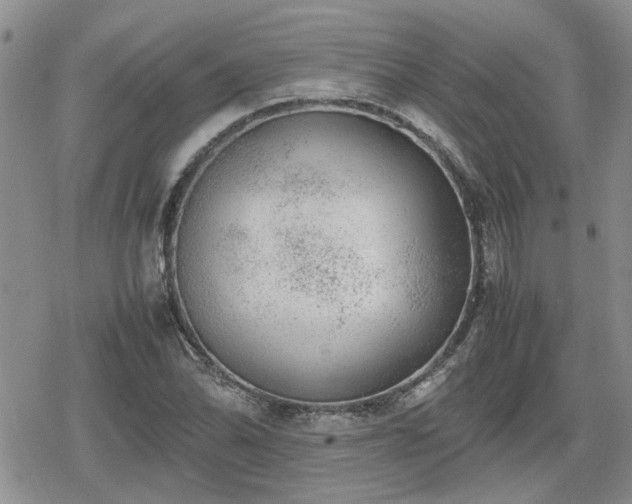 X0000078841070200611201307