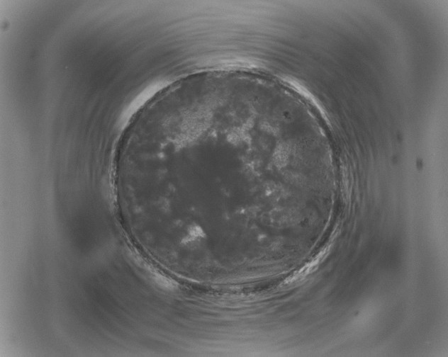 X0000078841071200611201307