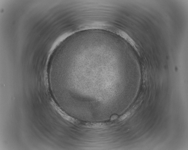 X0000078841072200611201307