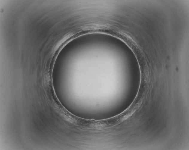 X0000078841073200611201307