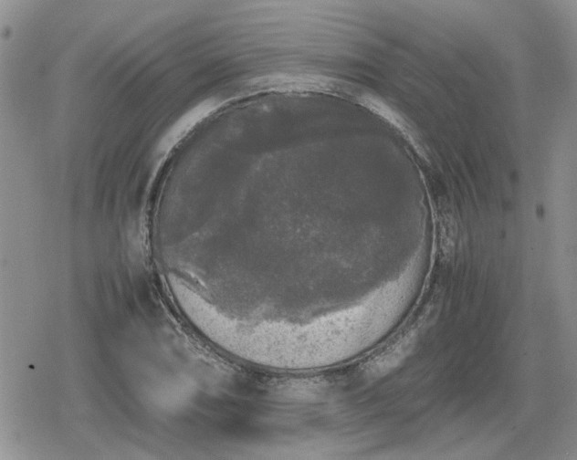 X0000078841074200611201307