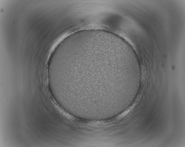 X0000078841075200611201307