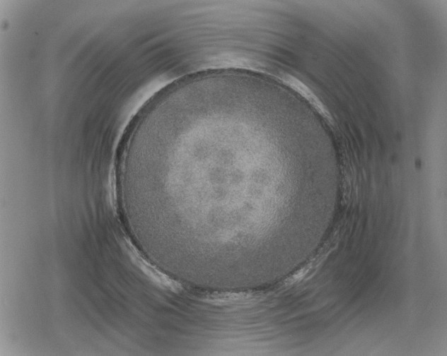 X0000078841076200611201307