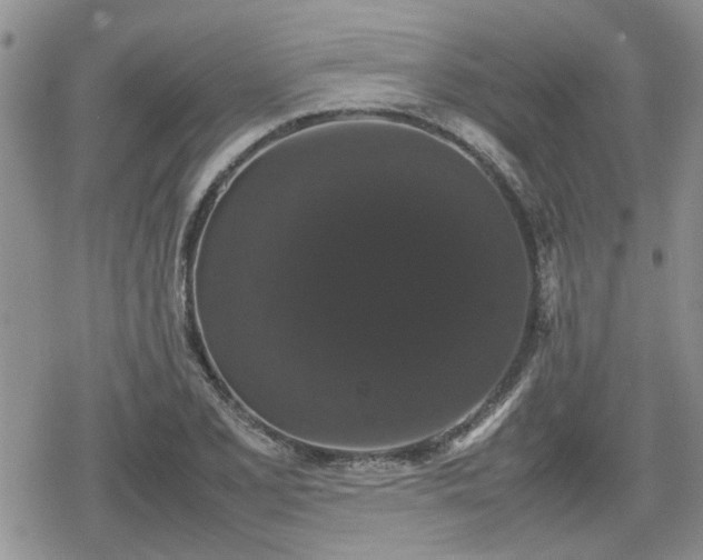 X0000078841077200611201307