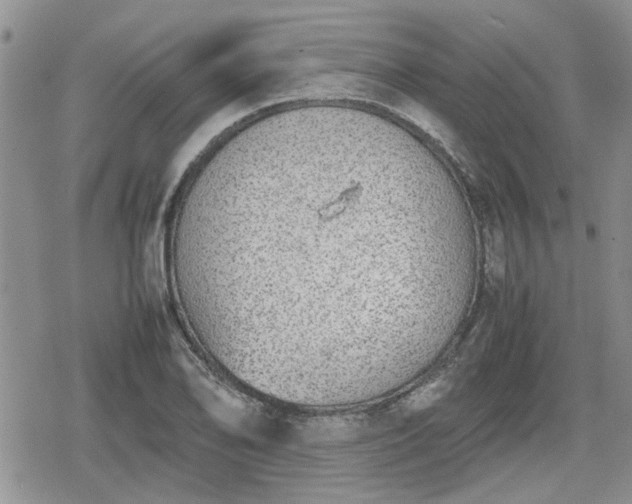 X0000078841078200611201307