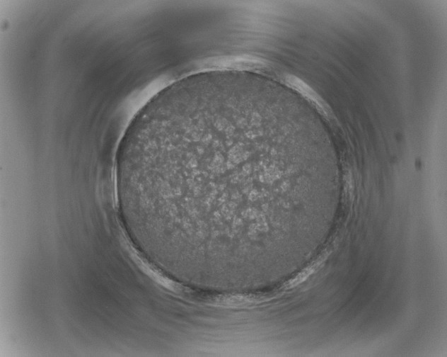 X0000078841079200611201307