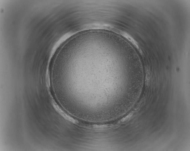 X0000078841080200611201307