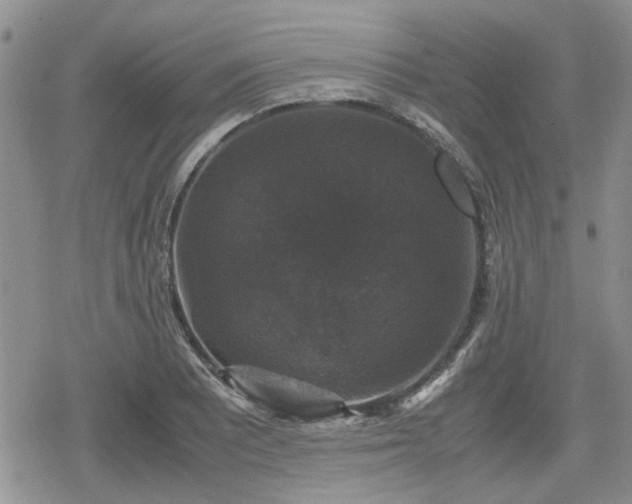 X0000078841081200611201307