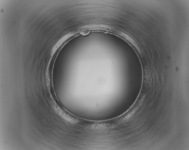 X0000078841082200611201307