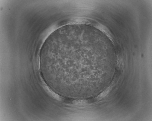 X0000078841083200611201307