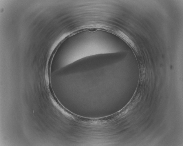 X0000078841084200611201307