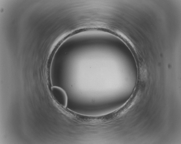 X0000078841085200611201307