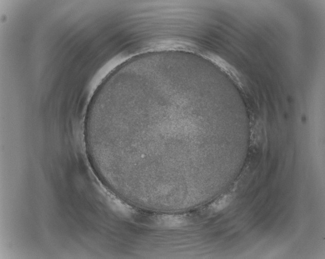 X0000078841086200611201307