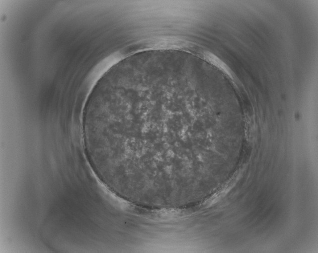 X0000078841087200611201307