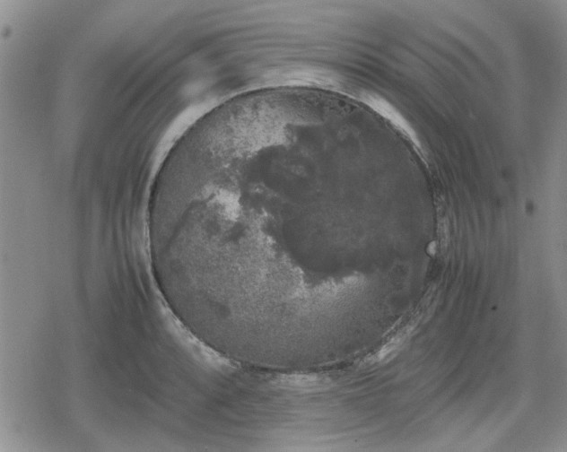 X0000078841088200611201307