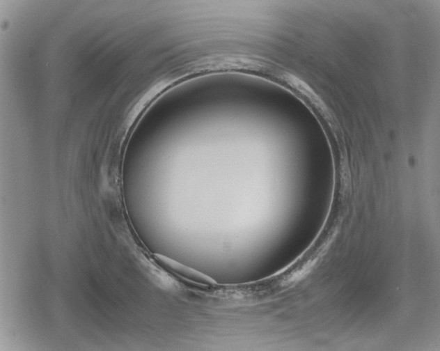 X0000078841089200611201307