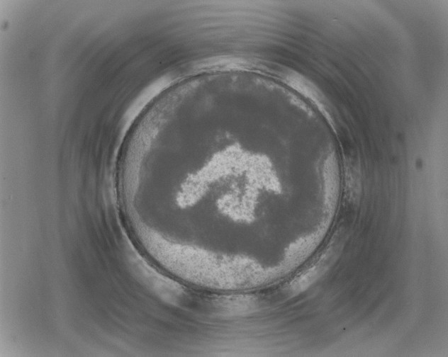 X0000078841090200611201307