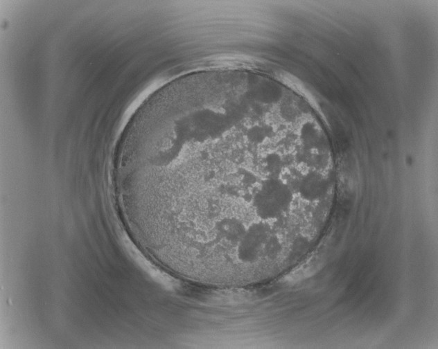 X0000078841091200611201307