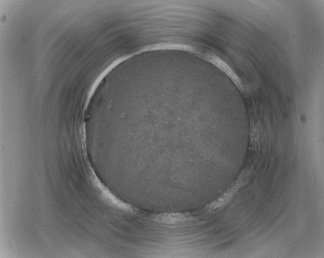 X0000078841092200611201307