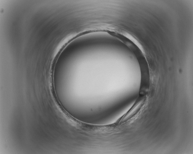 X0000078841093200611201307