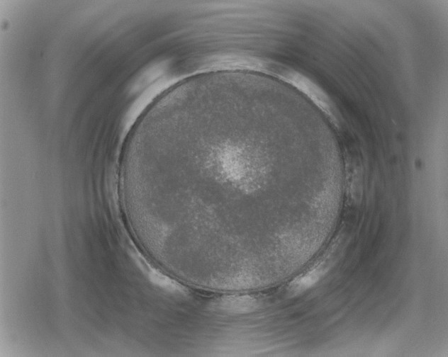 X0000078841094200611201307