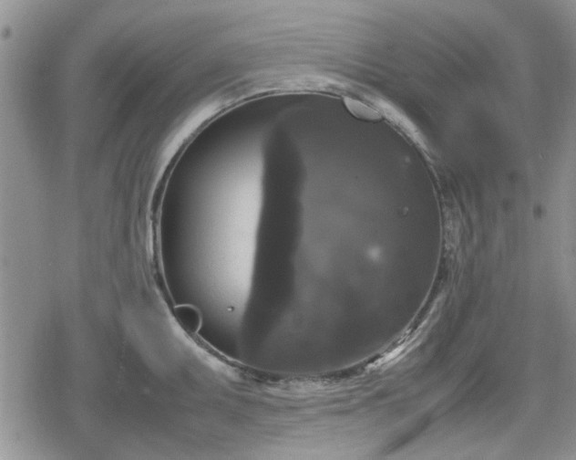 X0000078841095200611201307