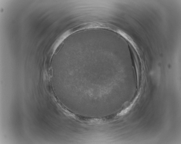 X0000078841097200611201307