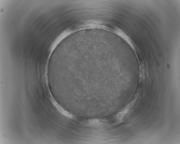 X0000078841098200611201307