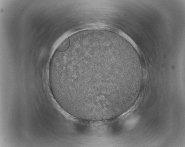 X0000078841099200611201307