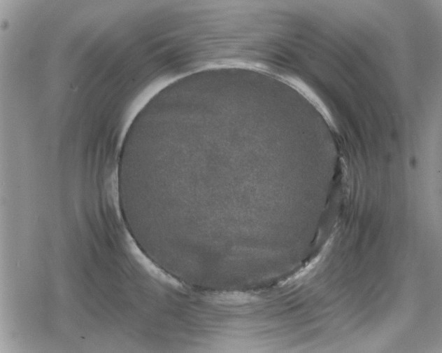 X0000078841100200611201307