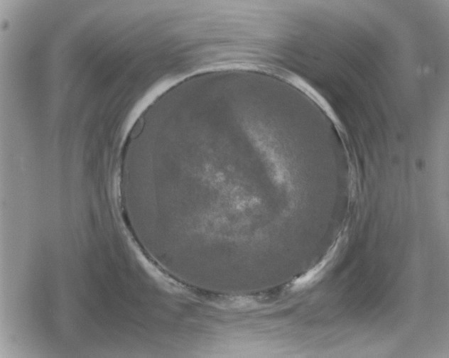 X0000078841101200611201307