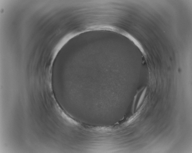 X0000078841102200611201307