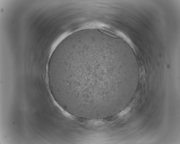 X0000078841103200611201307