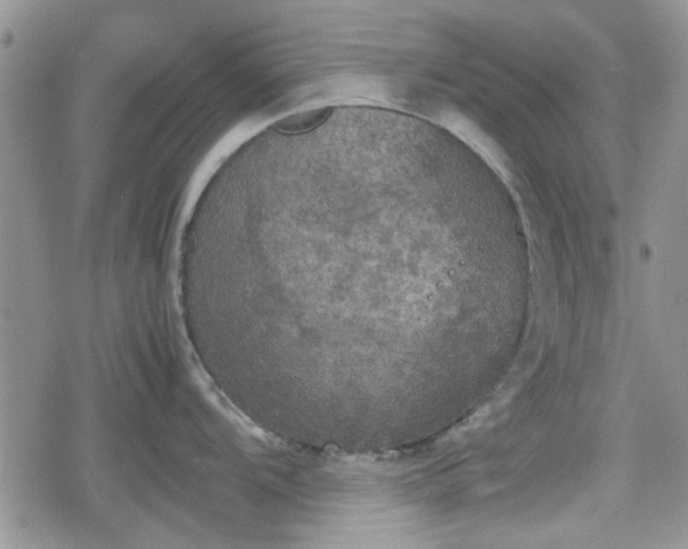 X0000078841104200611201307